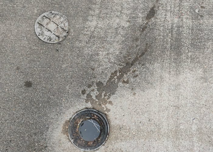 626299719_911886668370024_4873617838751167936_n