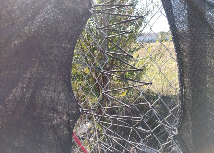 629411005_911869858371705_7069052901287431287_n